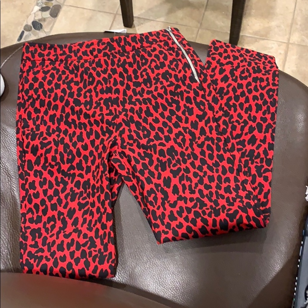 Zara Animal Print Pants